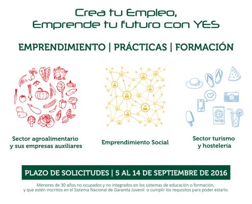 Cartel Proyecto YES - pedropluque